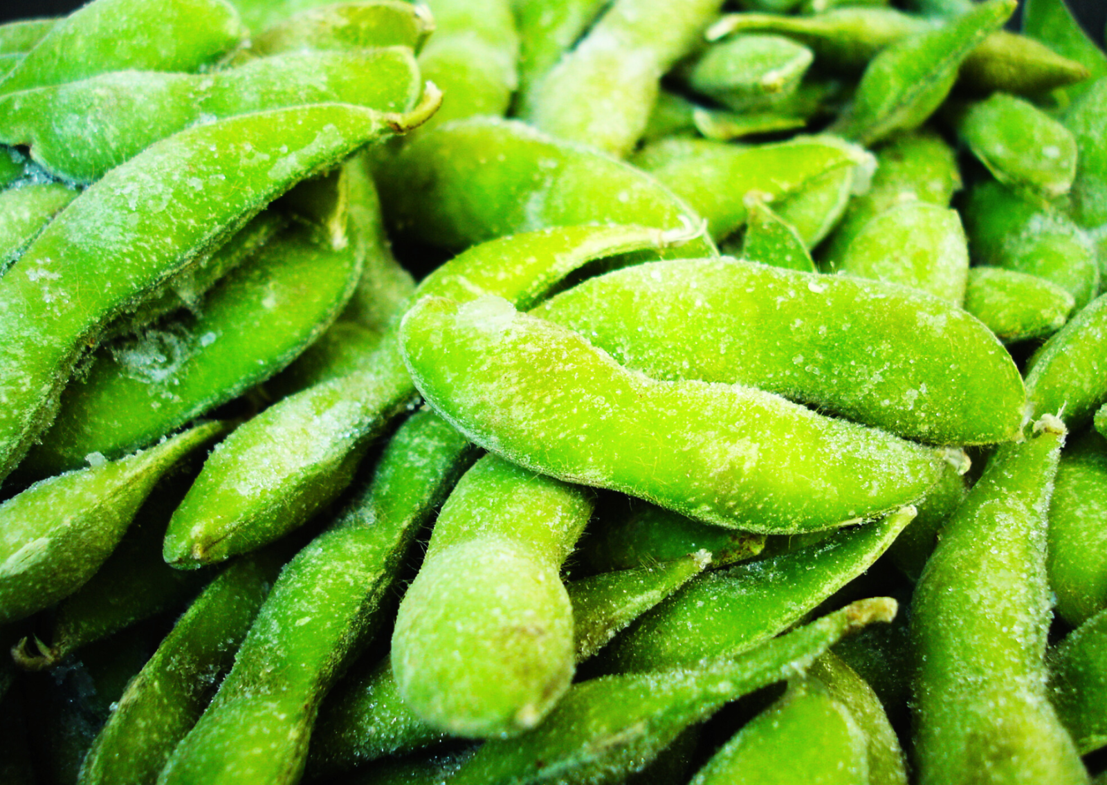 IQF FROZEN EDAMAME